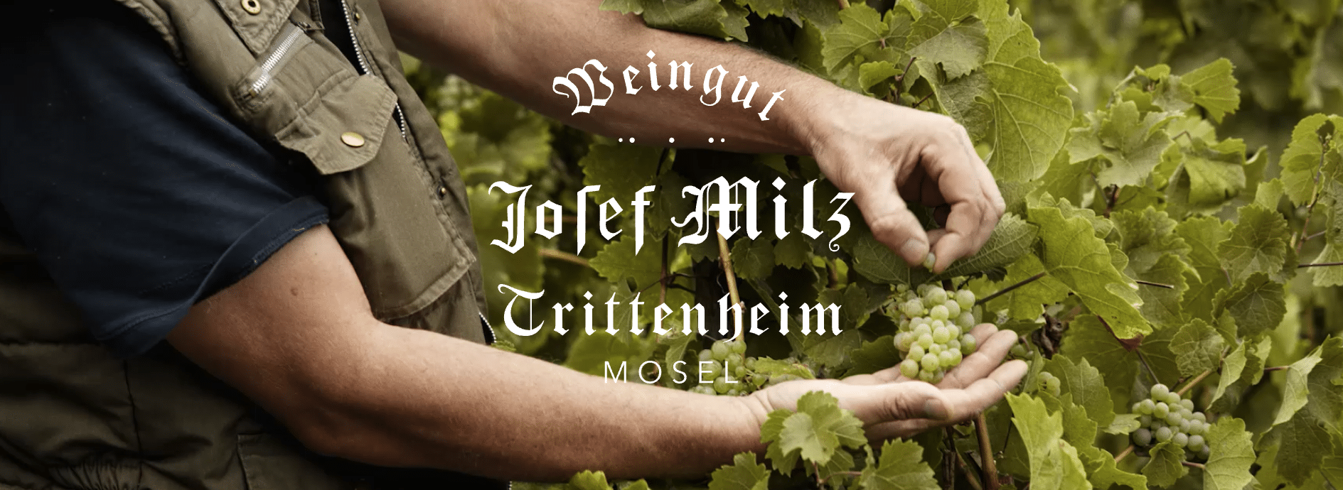 Forsidebillede af begivenheden